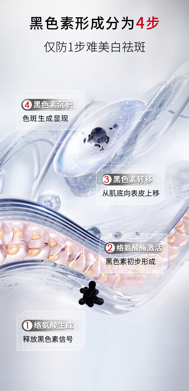 美白淡斑精華液241104_03.jpg
